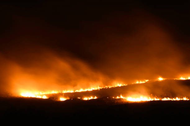 Cape Town Wildfire: Firefighters Battle Blaze Near Glencairn Expressway