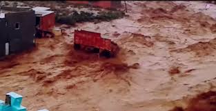 Malema slams slow flood response in Eastern Cape: 5 key reasons behind Mthatha delays