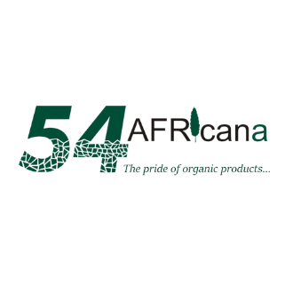 Africa 54 – Your Daily Insight into African News, Health, Sports, and Pop Culture