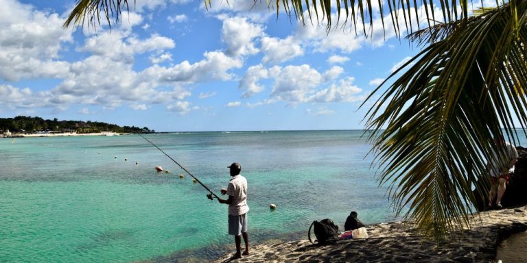 Économie bleue à Maurice : 5 avancées majeures en 2024