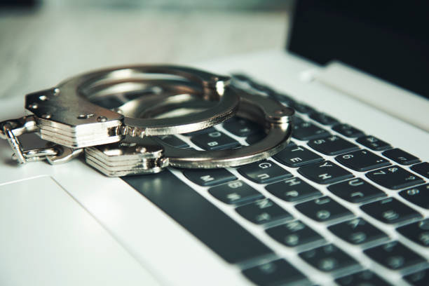 Political Interference Claims Rock Blogger Arrest, Madlanga Told