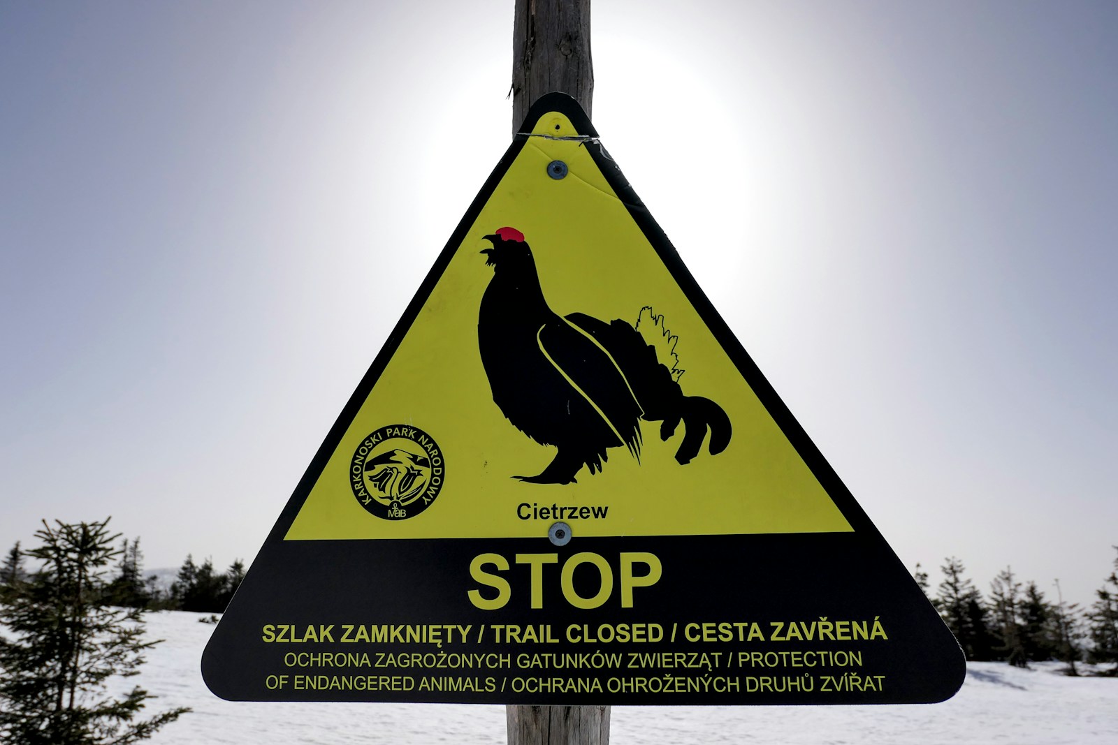 Abattage à la ferme d'autruches BC après la grippe aviaire : 5 vérités essentielles derrière la décision
