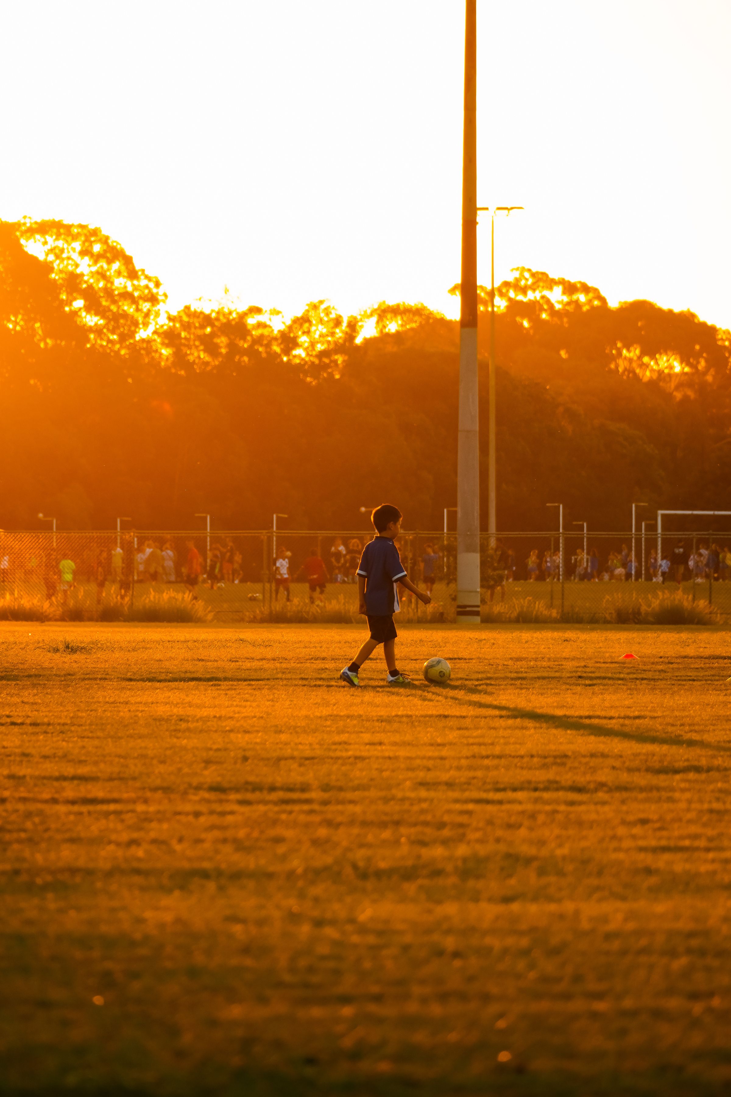 Durban Olympic Bid: Can the Delivery Machinery Deliver?
