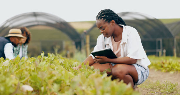 Sécurité alimentaire en Afrique du Sud : bâtir une nation plus forte et mieux nourrie
