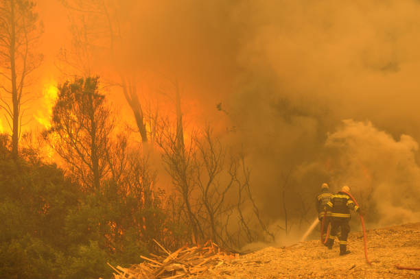 Glencairn Expressway Wildfire Prompts Emergency Response in Cape Town