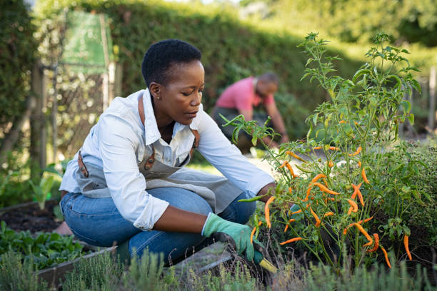 Minimum Wage in South Africa to Rise to R30.23 Per Hour in 2026