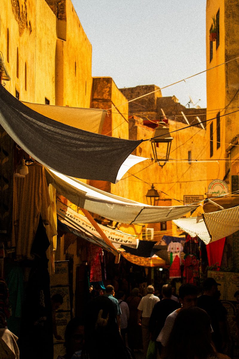 Surviving Displacement: Sudanese Lives and Hustles in Cairo’s Informal Economy