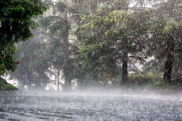Thunderstorm Warning in South Africa: Heavy Rain and Flood Alerts