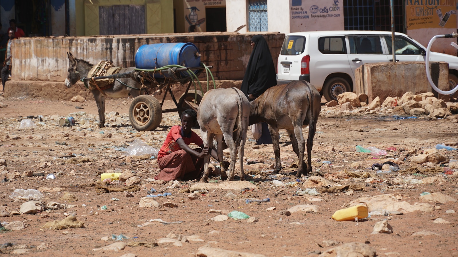 Famine à El Fasher : la crise humanitaire au Soudan atteint un seuil critique
