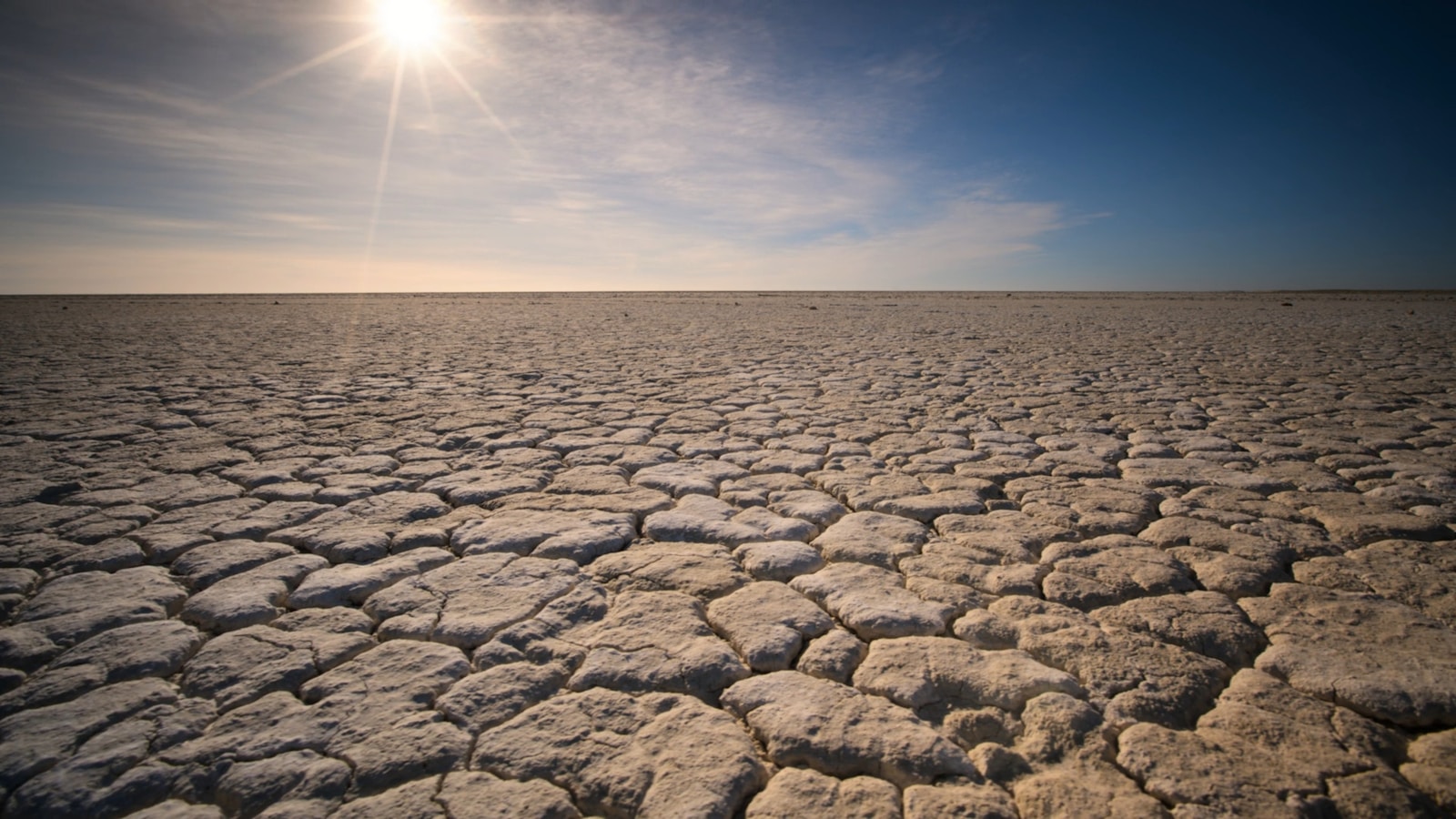How Social Networks Help Farmers Overcome Drought Challenges in Ghana by 2026, Amazing step