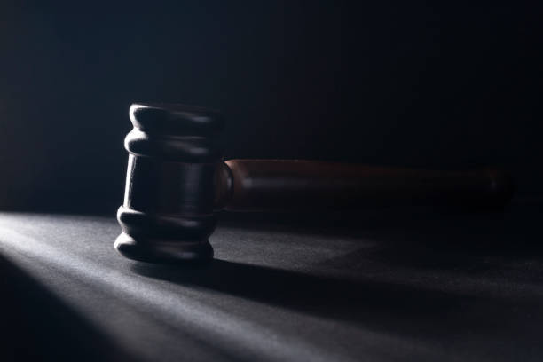 Madlanga Report Reveals Political Interference in Law Enforcement