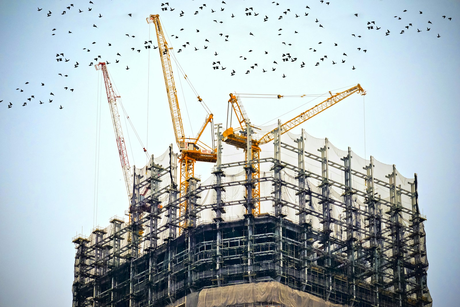 construction material prices: 5 Harsh Effects on Mauritius Economy