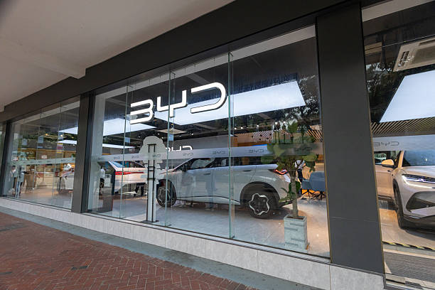 BYD EV South Africa : Investissement stratégique dans les infrastructures VE
