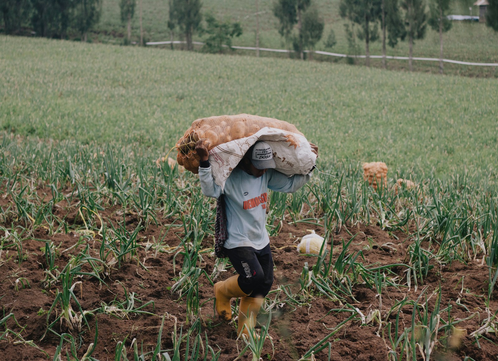 Child Labor in South Africa: Tragic Truth Behind the Crisis