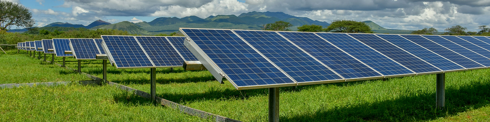 renewable energy Energising Africa 2025 : enabling private sector development in renewable energy