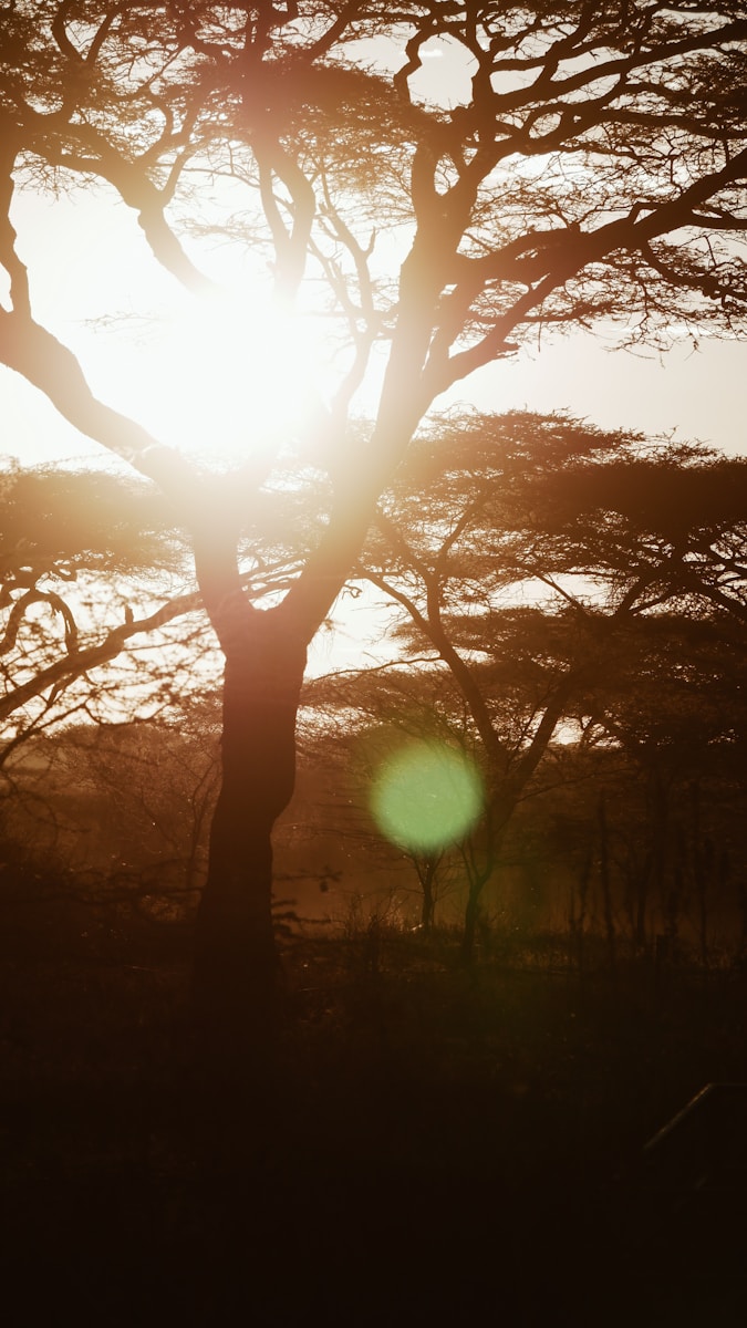 Drones, disinformation and guns-for-hire are reshaping conflict in Africa: new book tracks the trends in 2025-26.