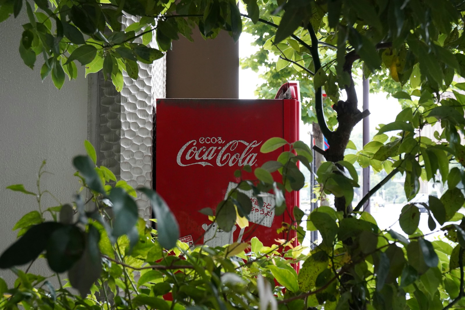 Coca-Cola South Africa Crisis: 600 Jobs at Risk in 2025