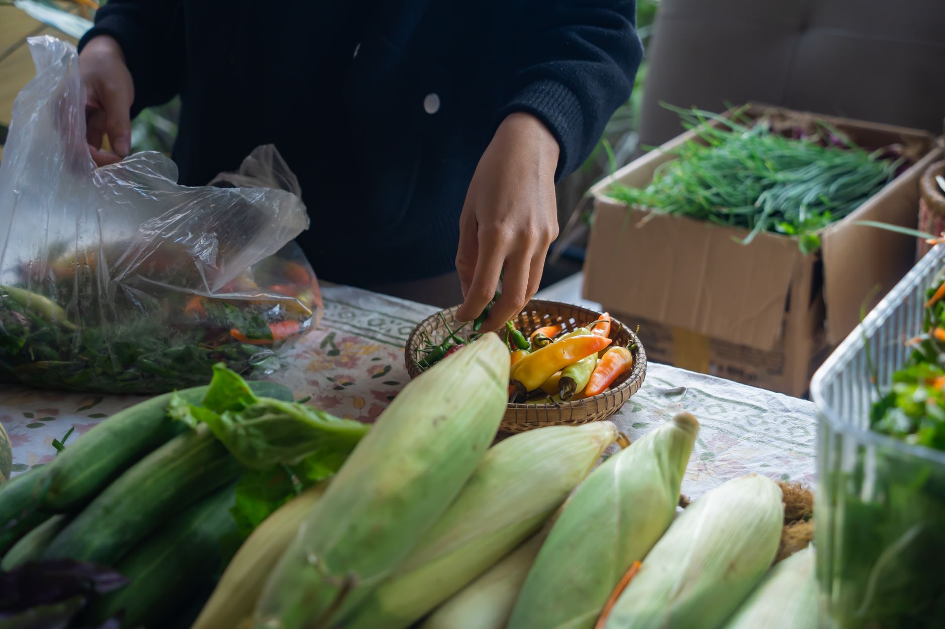 Un agriculteur bio sud-africain inspire un mouvement pour l'alimentation locale