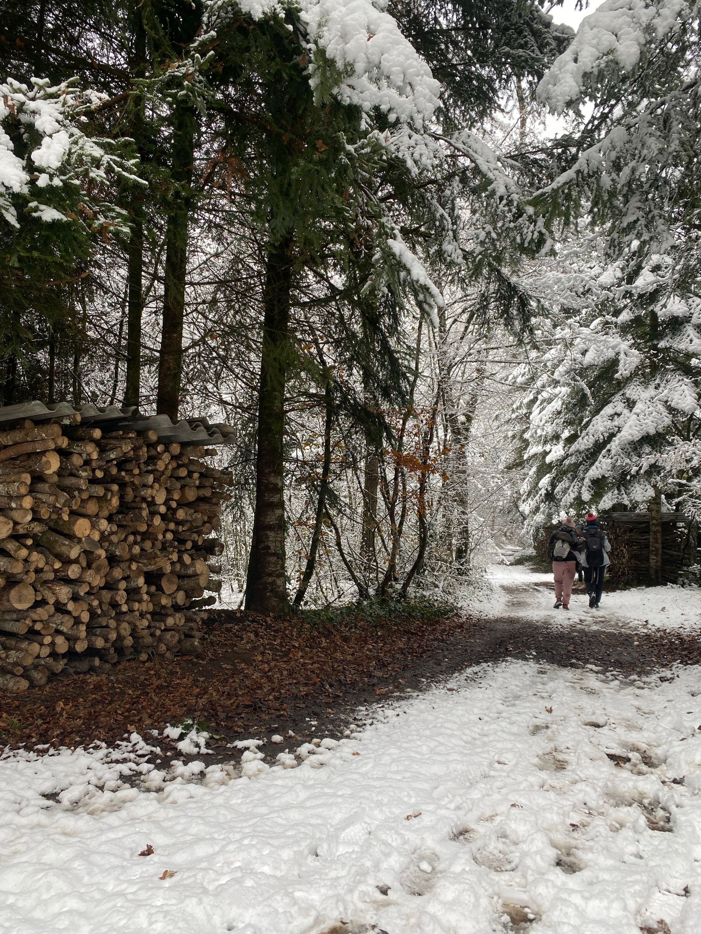 Faits d'hiver 2027: 46 représentations à l'épreuve du secteur