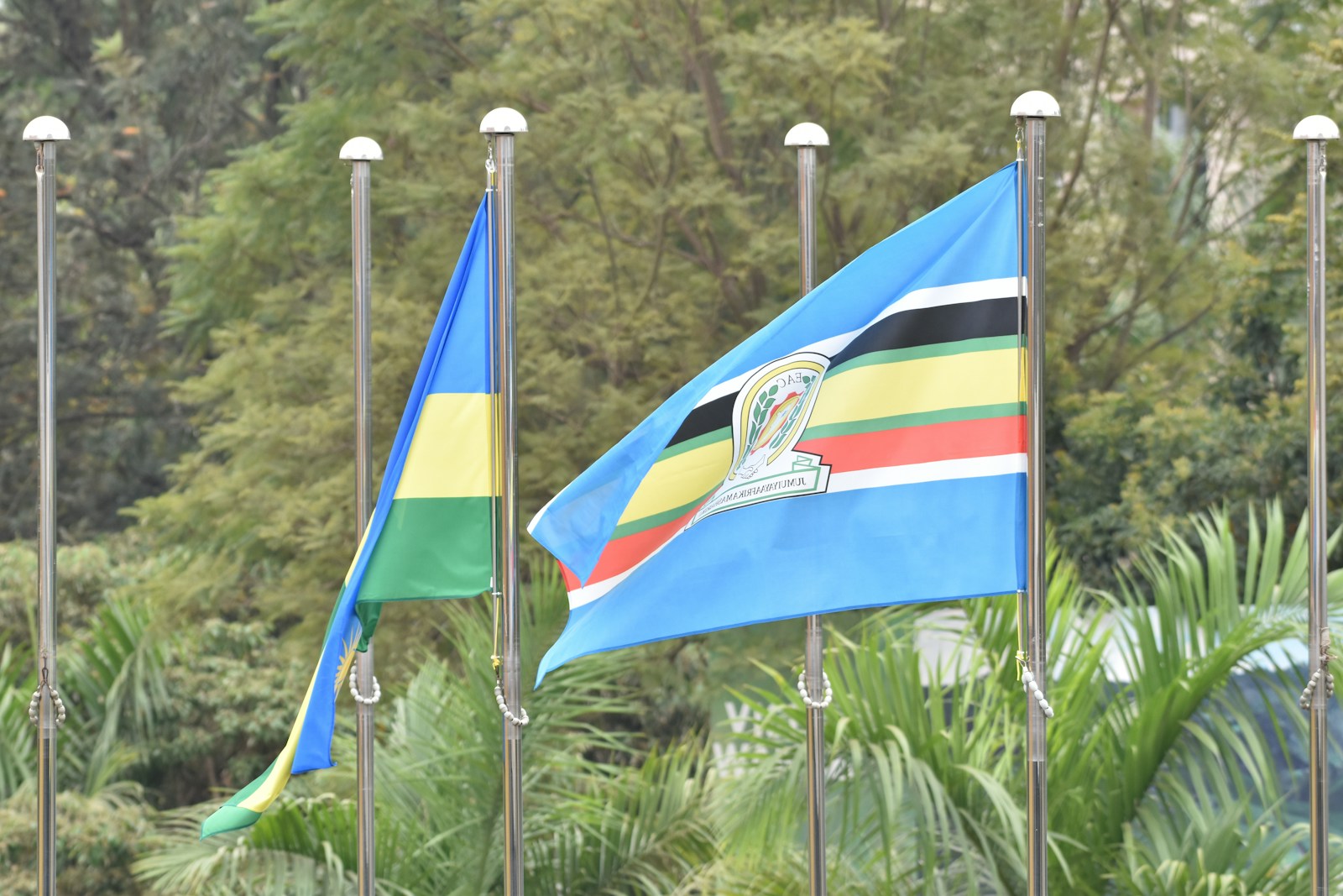 Kenya Embraces Diplomacy Amid Rising Trade Tensions with Tanzania