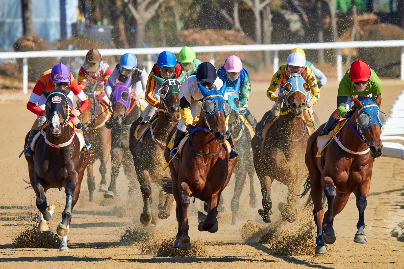 Horse Racing 2025: 5 Exciting Highlights Today