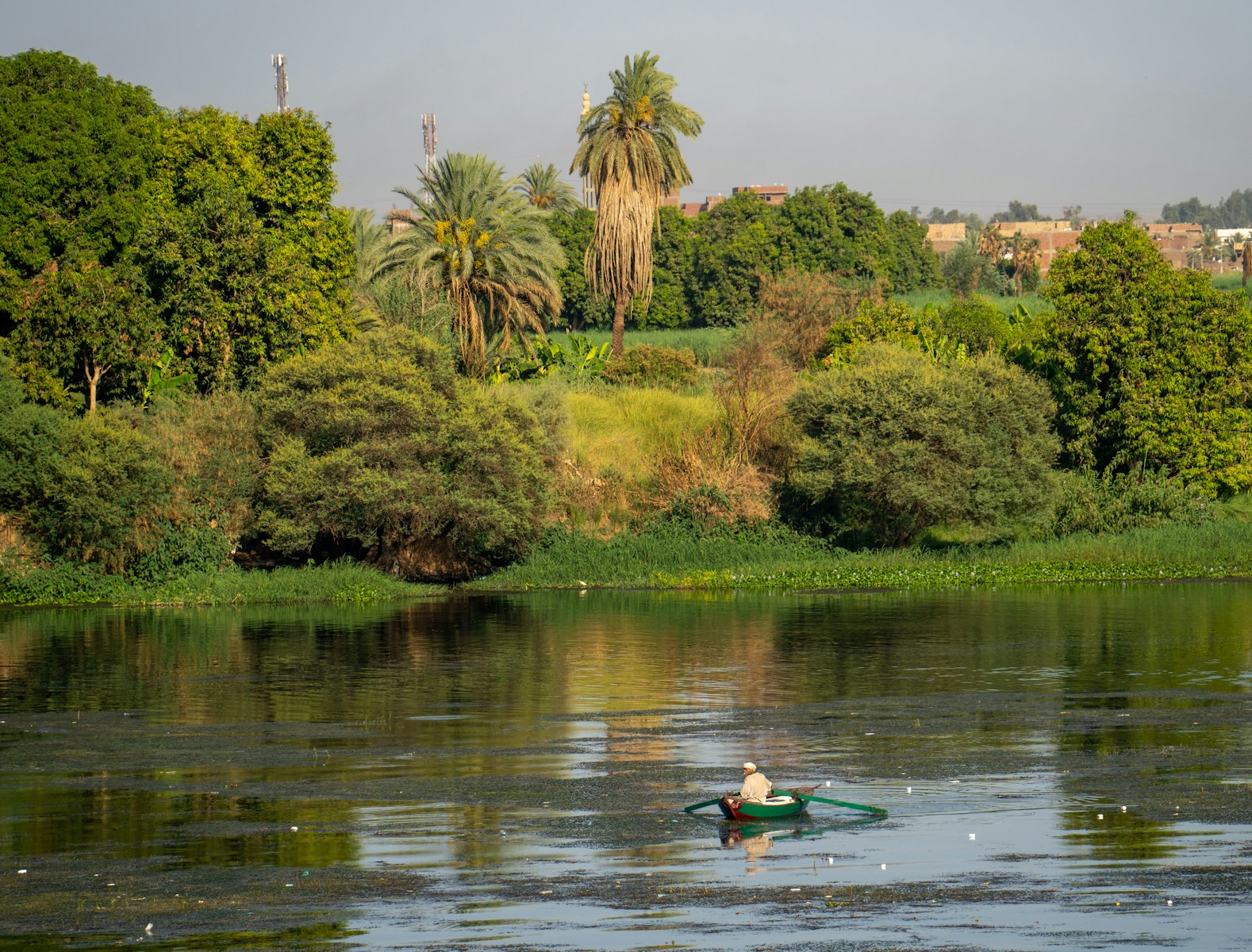 Walking Landscapes: Exploring Cairo through Mahmoud Khattab