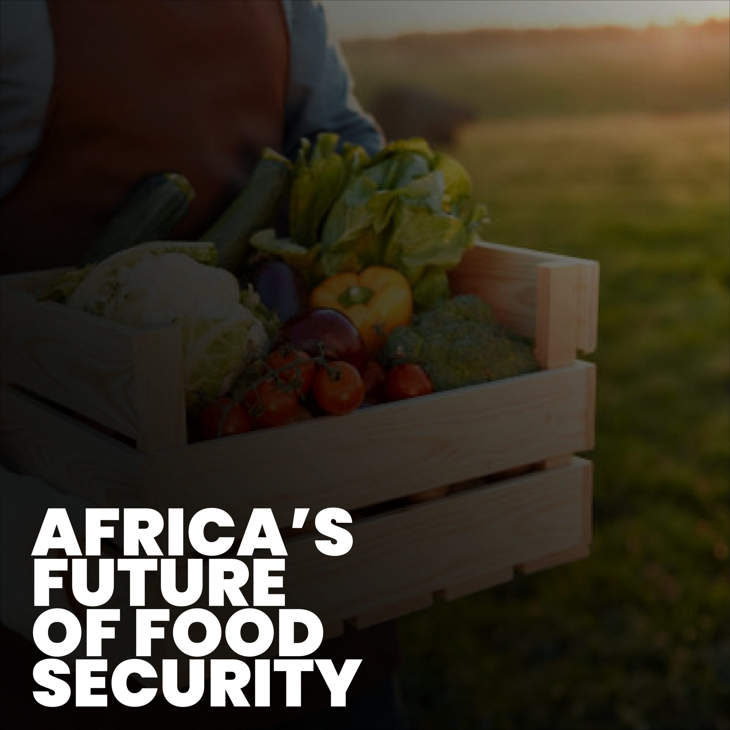 Africa Food Security: 11 Powerful Lessons Boosting FAO’s 19th MDT Progress