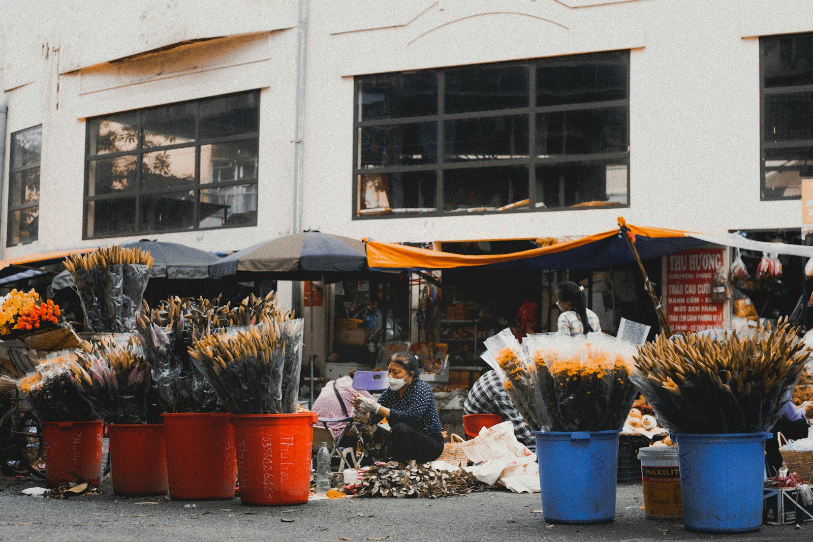Bonanjo Douala : affaires et culture, 5 vérités sur le cœur de l'économie camerounaise
