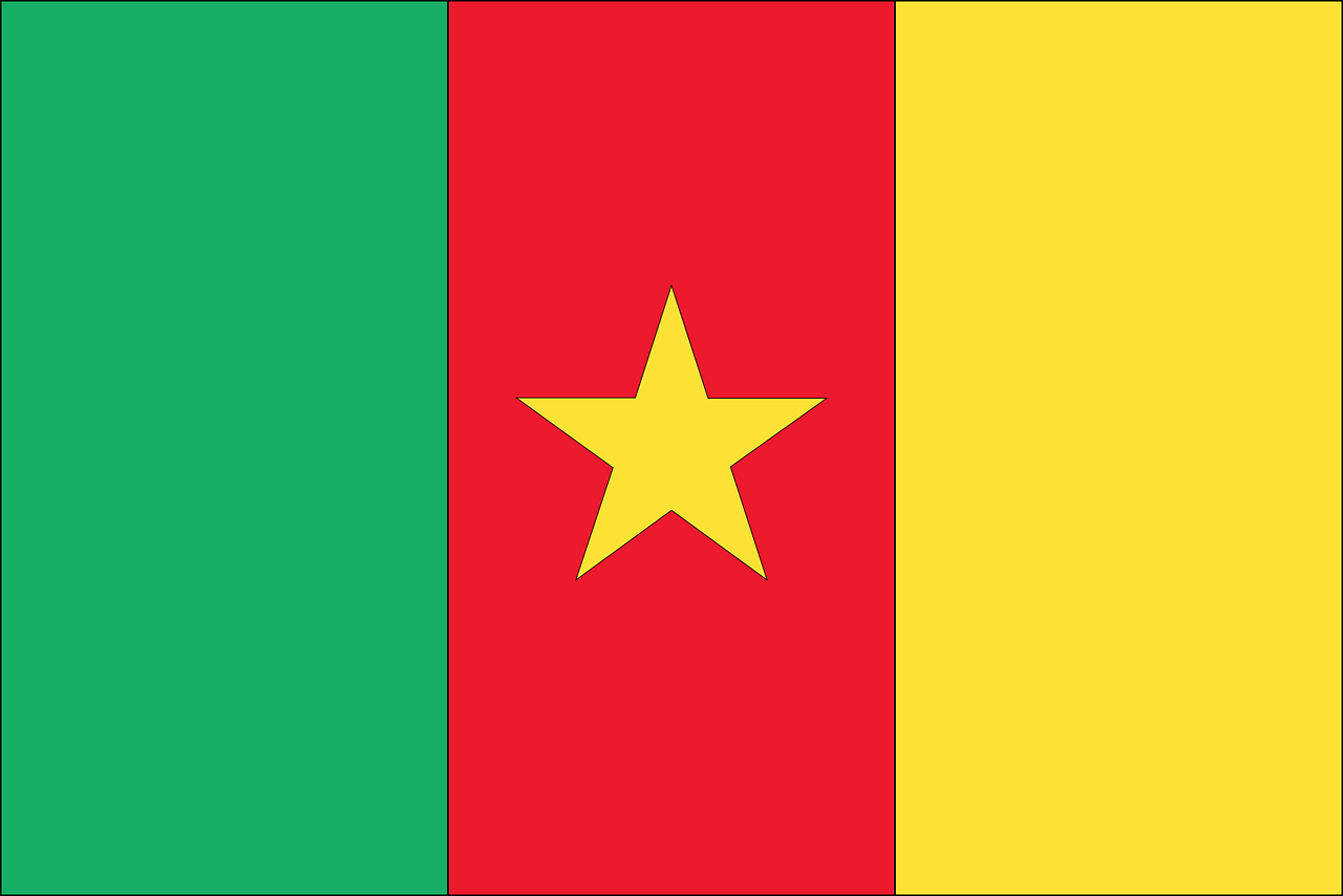 5 Shocking Facts About Opposition Candidate Barred in Cameroon