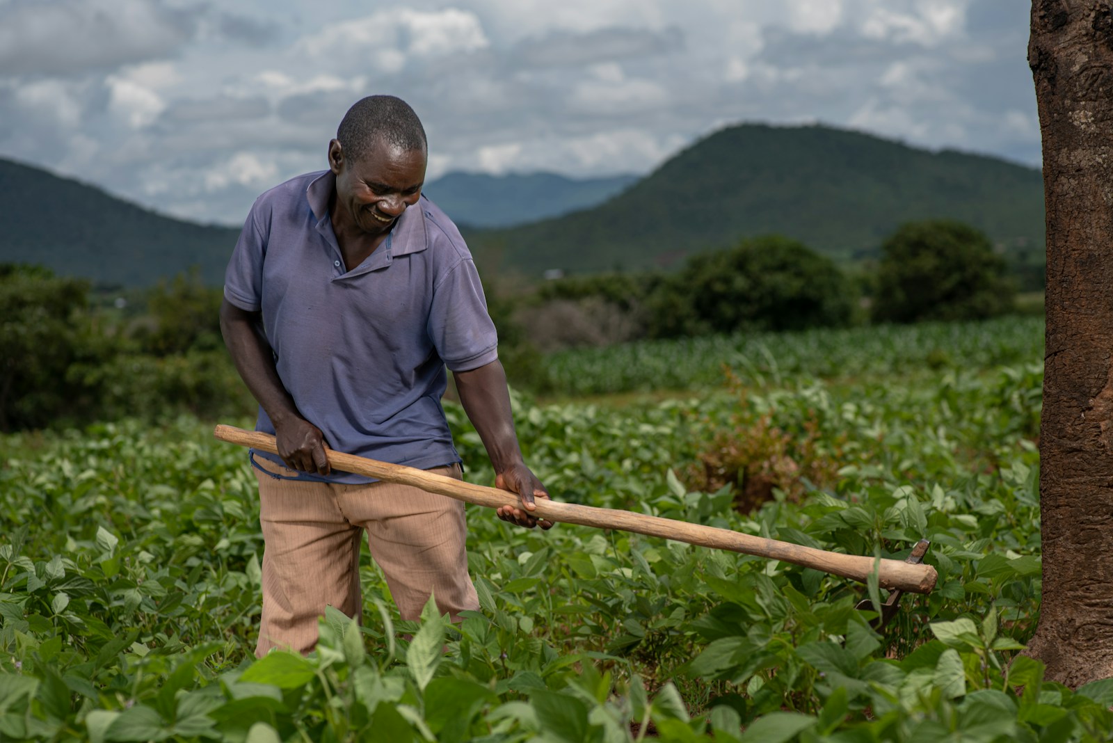 Date butoir pour les titres fonciers de 384 000 agriculteurs au Zimbabwe