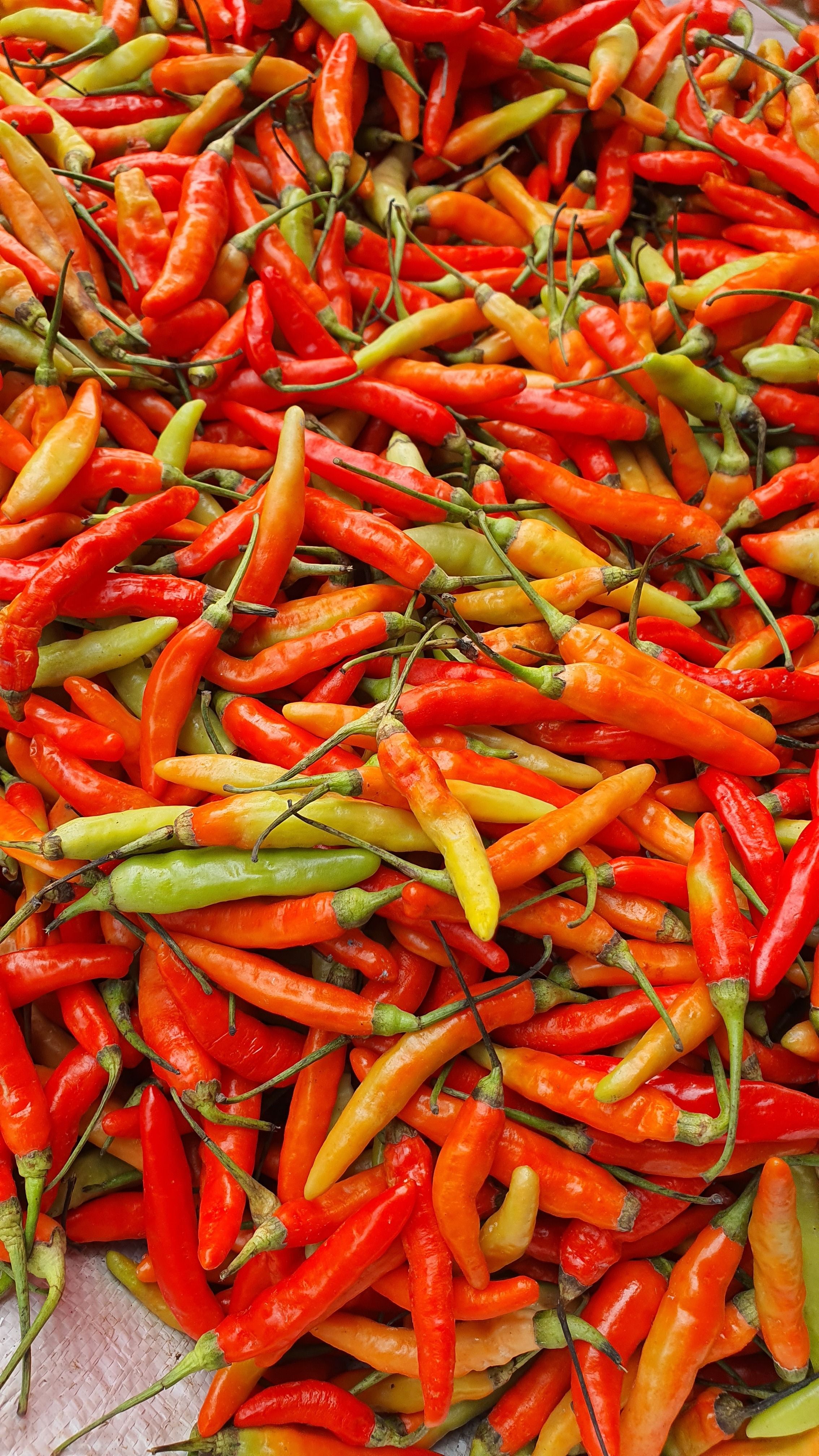 AgriSA sets five mandates, demands measurable outcomes