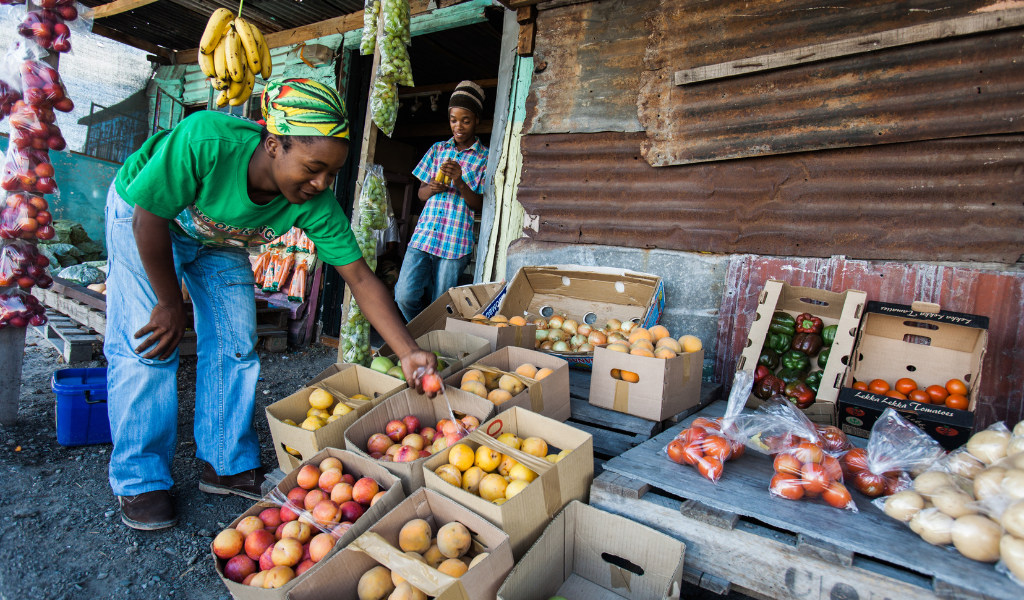 Groceries Crisis: South Africans Struggle to Afford Food Monthly | SERI Report 2025