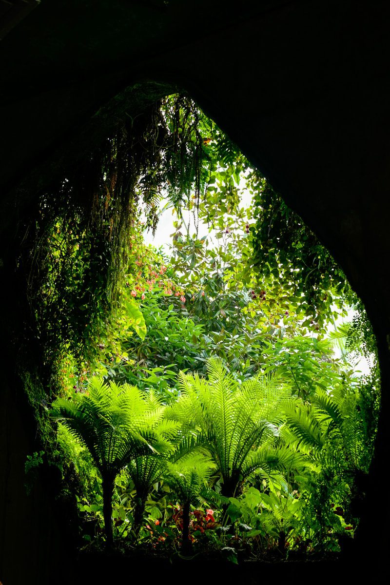 Jardin du Bon Dieu et responsabilité environnementale : 5 vérités essentielles sur notre devoir commun de protection