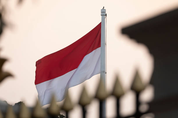 South Africa and Indonesia Strengthen Ties: A Bright Future for Trade and Cooperation