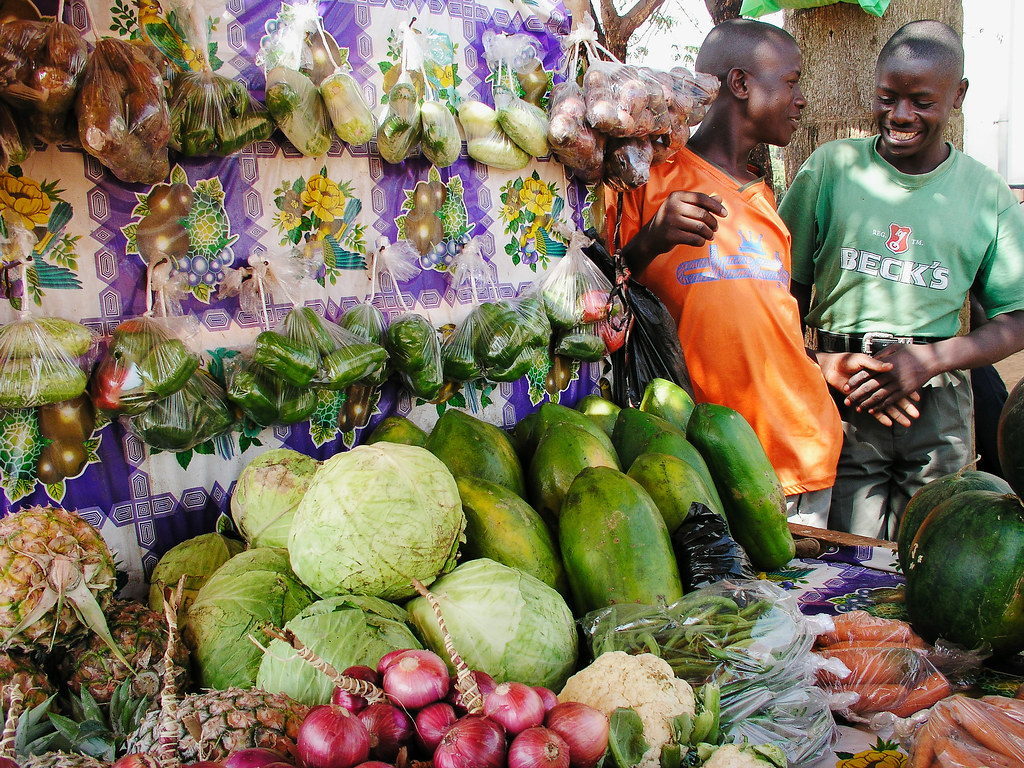 African Export: 20 Powerful Success Stories for Thriving SMEs