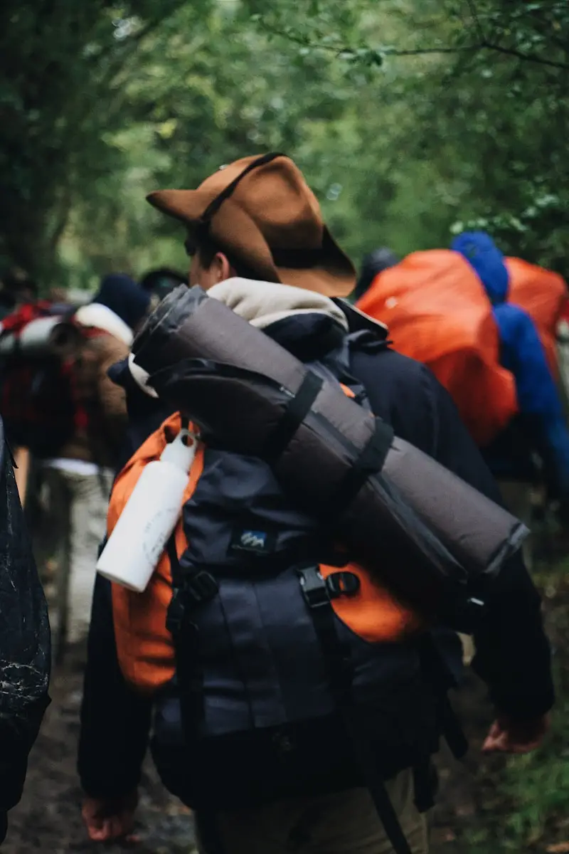Dudula illegal immigrants healthcare access – services publics sud-africains
