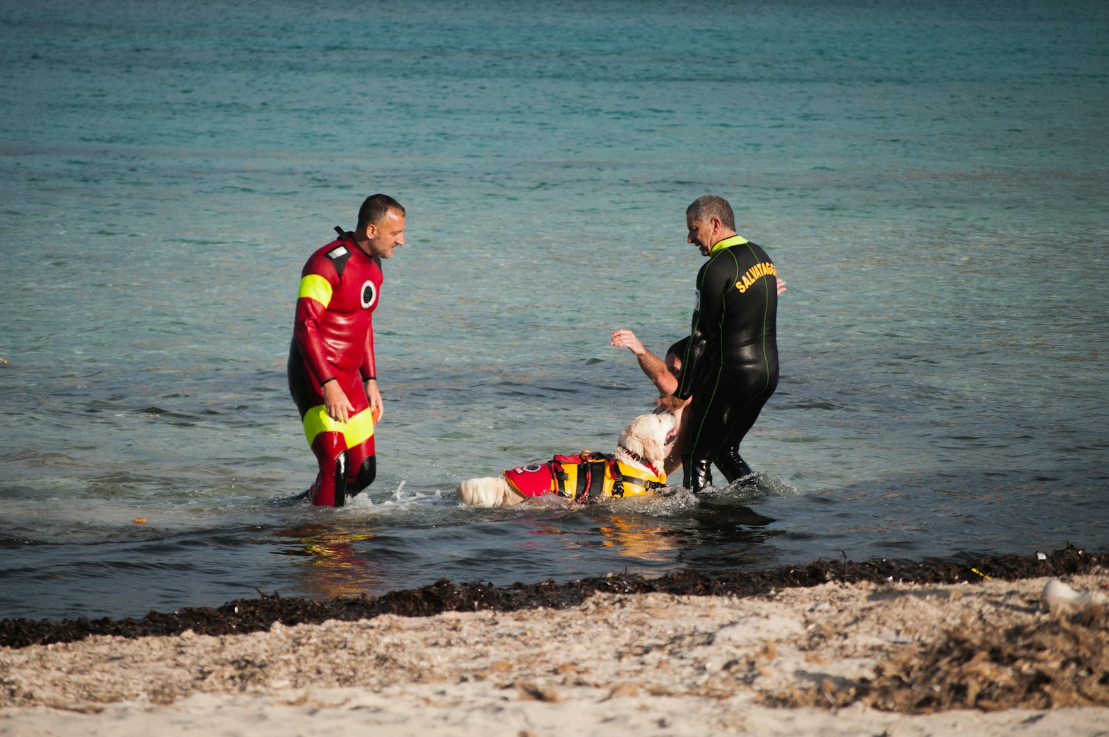 Les équipes de secours retrouvent une victime de noyade à Harrison Lagoon – RCMP d'Agassiz : 5 vérités sur la tragédie