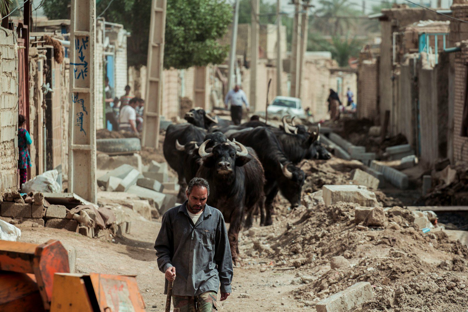 El‑Fasher on the Brink: A Famine Unfolding Amid Siege and War
