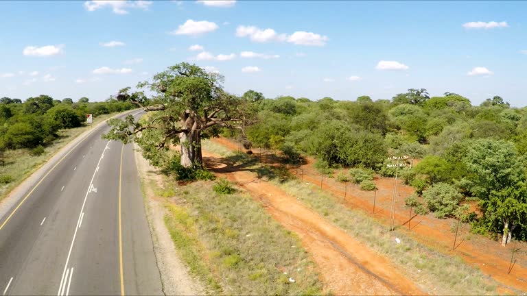 Limpopo Crash: 9 Critical Realities Behind a Migrant’s Final Moments