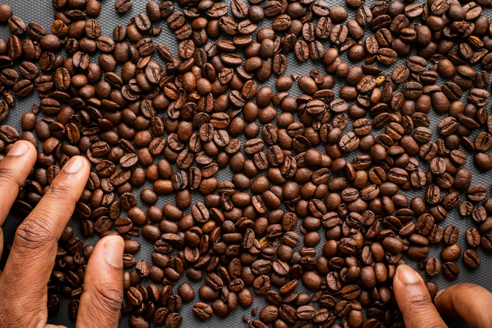 Droits de douane sur le café brésilien : une hausse de 50 % qui va bouleverser le marché américain