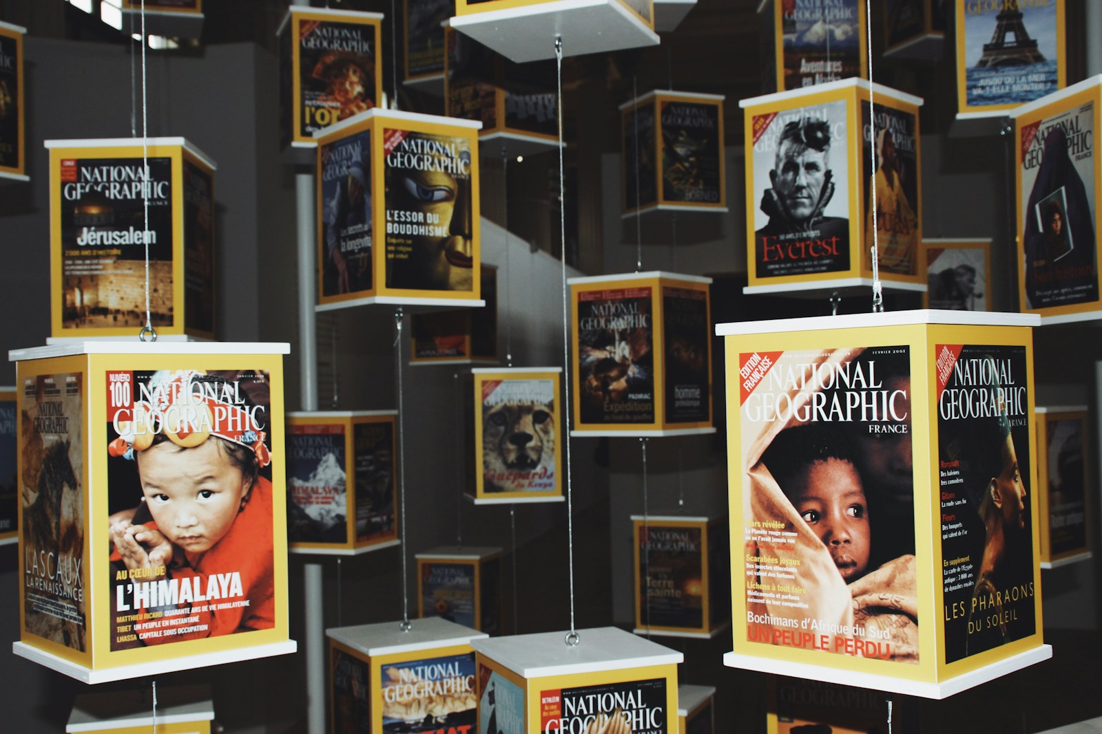Nouveaux livres illustrés africains 2025 : 5 vérités fortes derrière cette vague littéraire