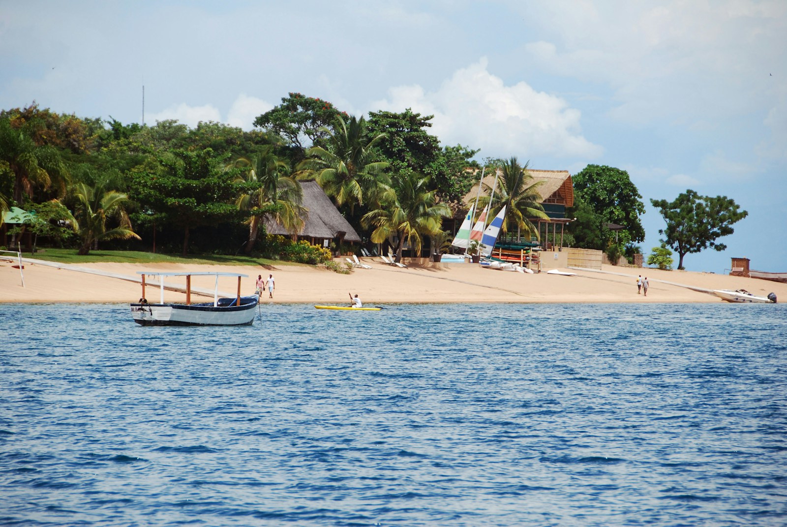In Malawi 2025, Accountability and Justice: Cosoma Board Members Must Return Stolen Funds