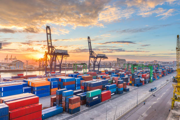 Exportations sud-africaines : analyse du plus grand potentiel commercial d'Afrique