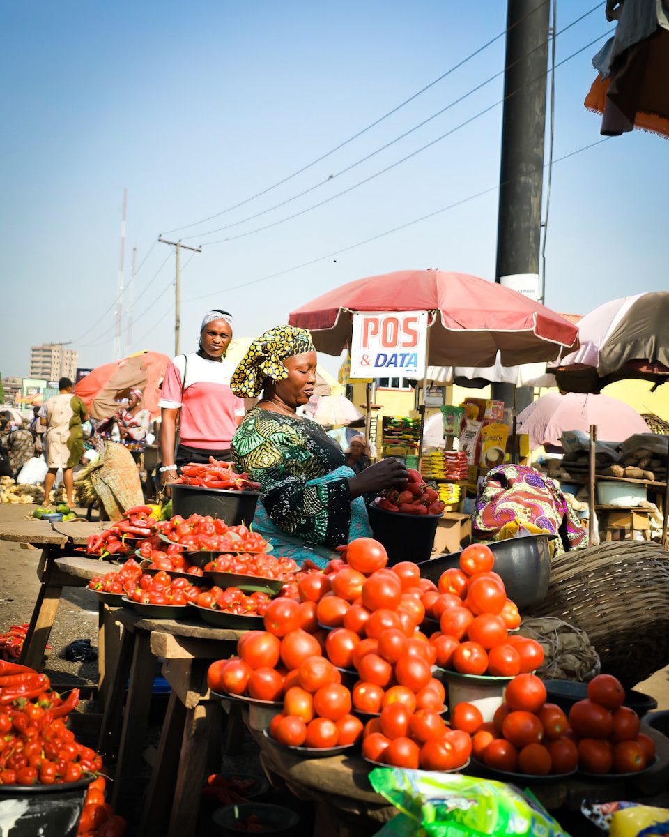 Investing in Africa: 5 Shocking Truths You Must Know Before Copy-Paste Strategies