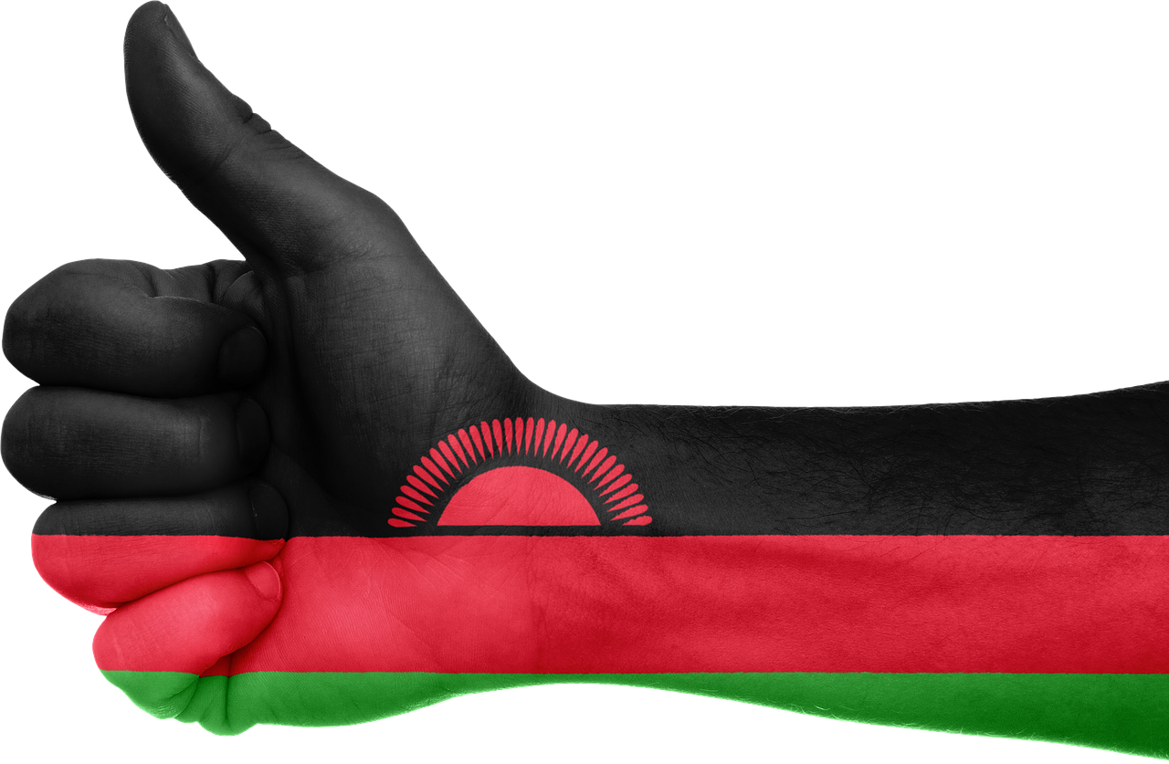 Élections au Malawi : les réformes peuvent-elles garantir des scrutins crédibles ?