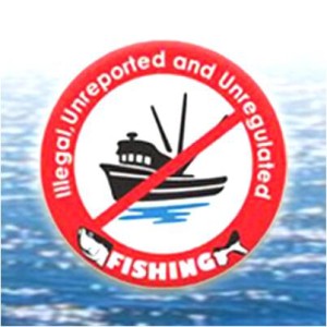 Économie bleue à Maurice : 5 actions clés pour mettre fin à la pêche illicite