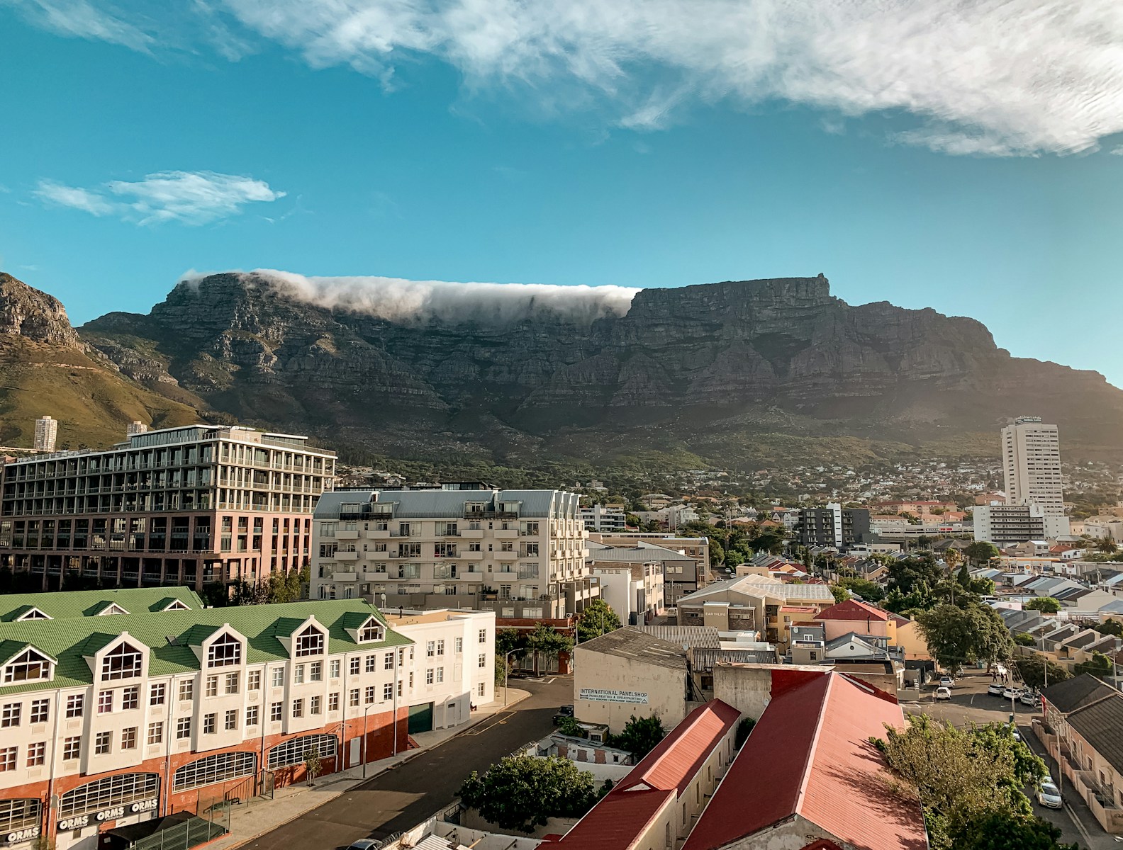 Owns South Africa: 7 Shocking Truths About Power, Money, and Politics