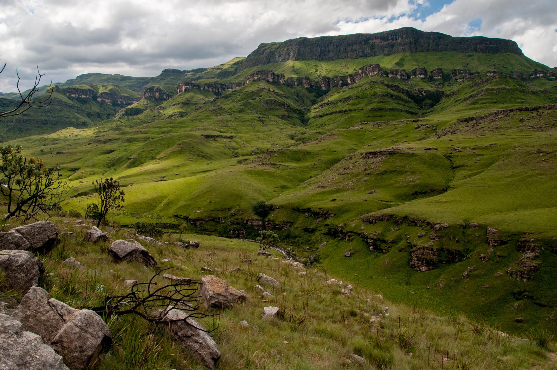 Millions of visitors fuel South Africa's tourism surge; small businesses feel the lift