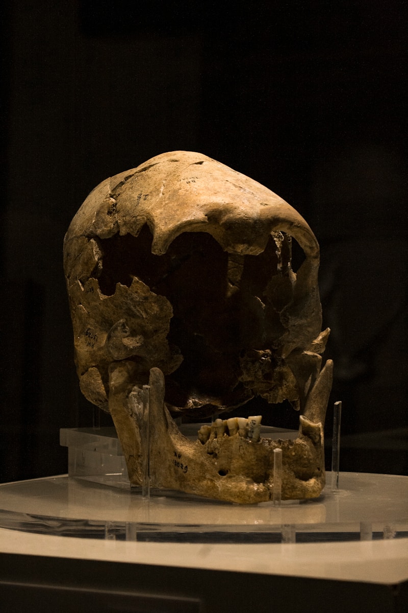 5 faits historiques sur le crâne du roi Toera qui suscitent la fierté malgache